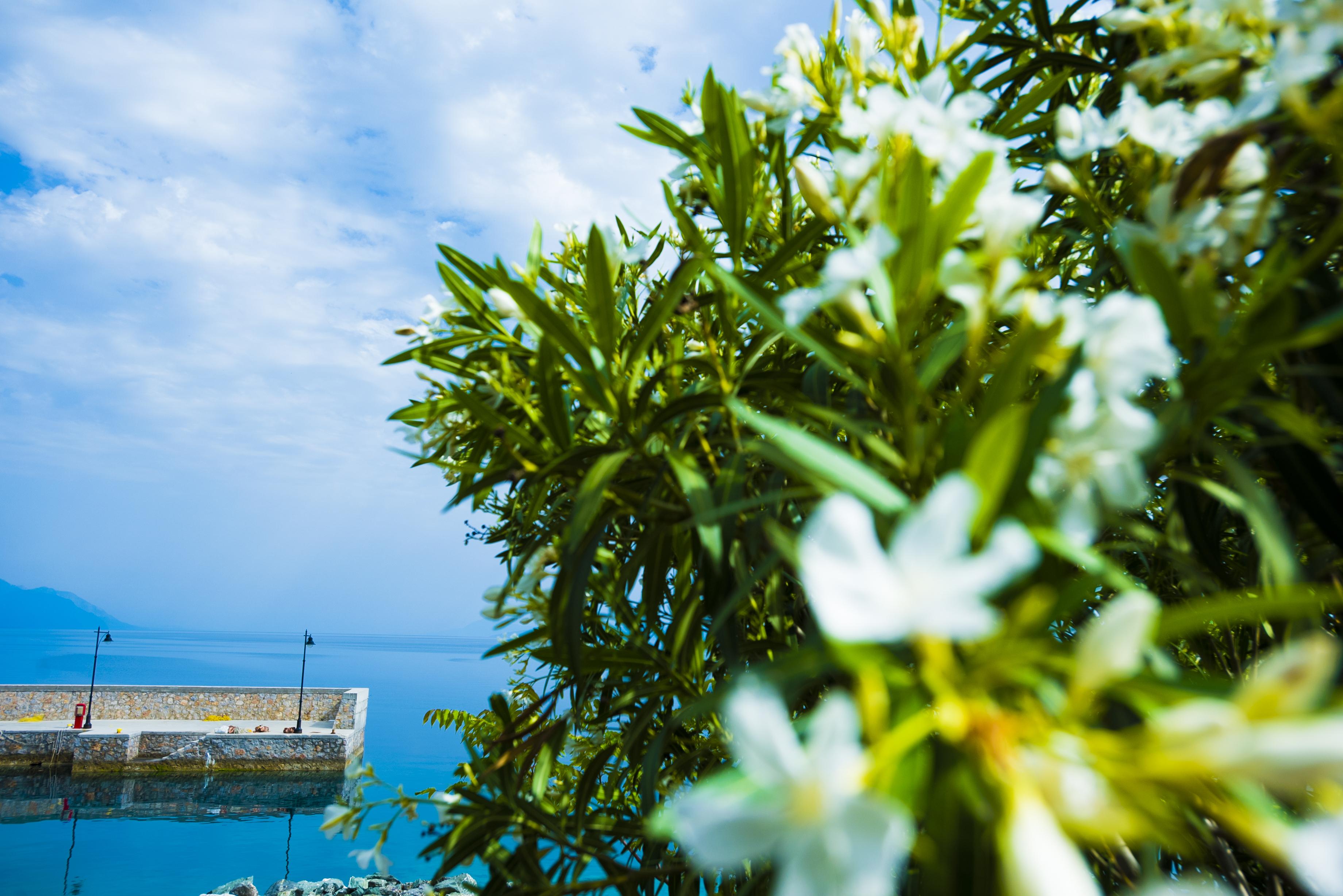 Miradouro Sea Front Residences Edipsos Exterior foto